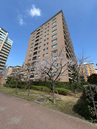 広尾ガーデンフォレスト H棟105画像